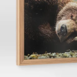 20" X 16" Bear Photography Framed Art Brown - Threshold™ -Dream Decor Shop GUEST 8d29808a 8d0a 4121 a8c8 64d15cc45658