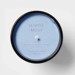 Colored Vase Glass With Dustcover Marine Moss Candle Blue - Threshold™ 9 Colored Vase Glass With Dustcover Marine Moss Candle Blue - Threshold™ -Dream Decor Shop GUEST e5035607 20cd 4e66 bc9b 502503c48b69